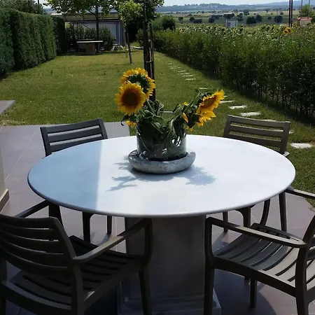 Niovi Boutique Apartment Afytos